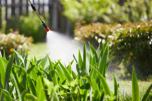 Void Injection for Cockroach Colonies in Orange Lake