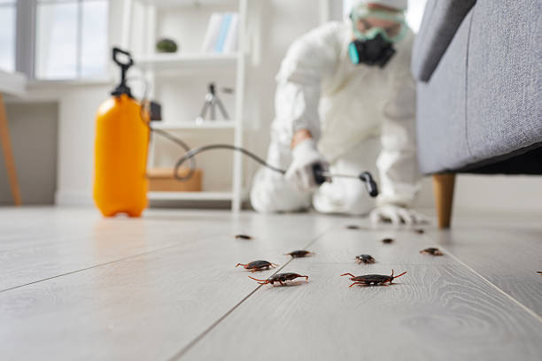 Commercial Kitchen Cockroach Control in Orange Lake